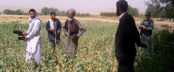 Opium Brides